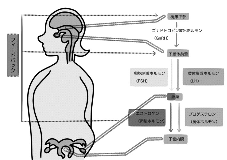 避けるべき食品